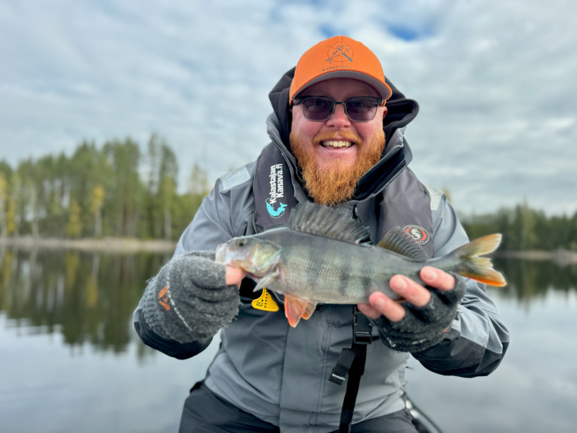 Roy Norro järjvellä kalalla, esittelee hyvän kokoista ahventa